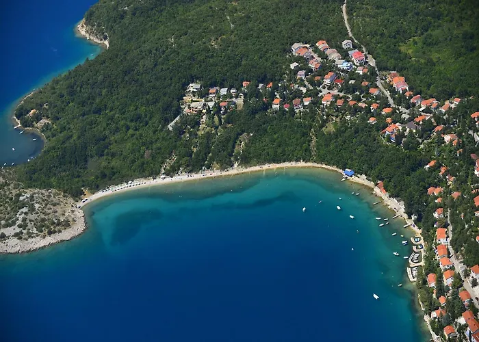 Kucica